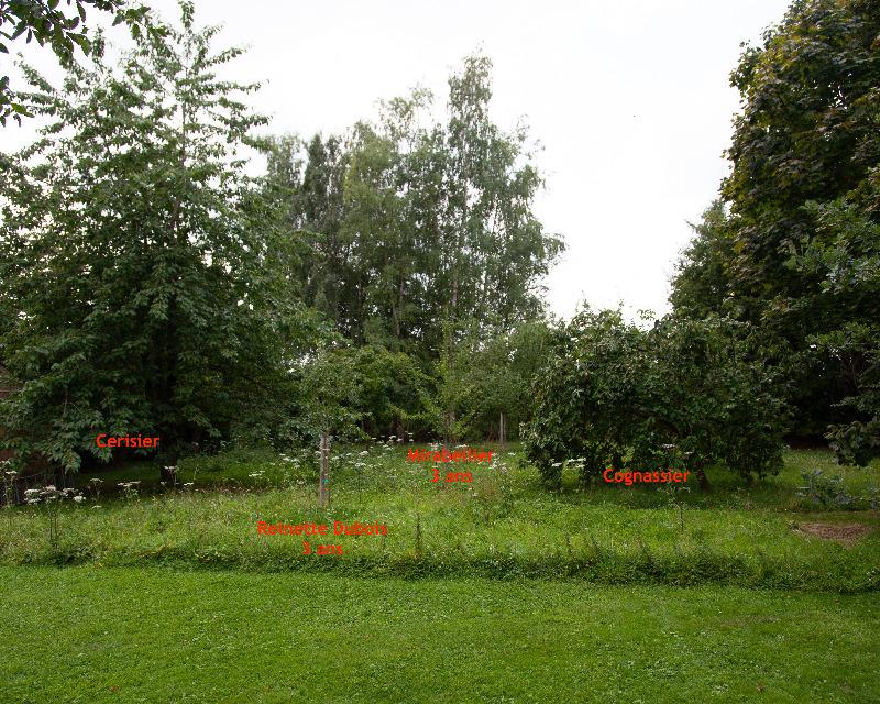 Milieux ligneux
